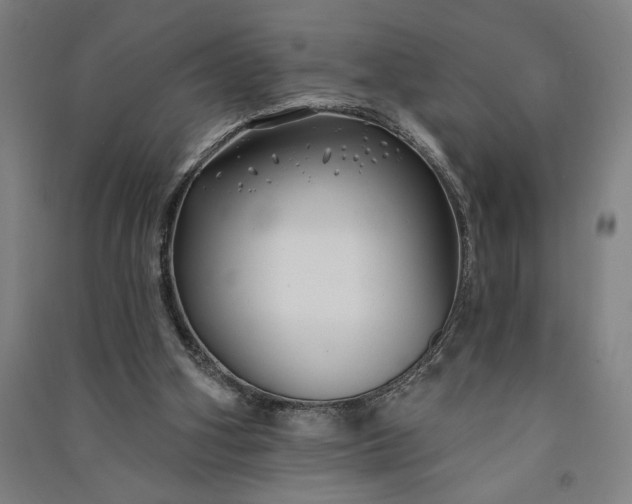 X0000091070106200708201419