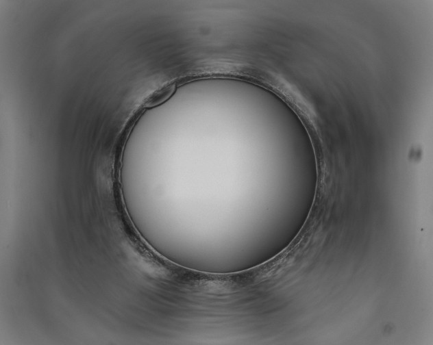 X0000091070107200708201419