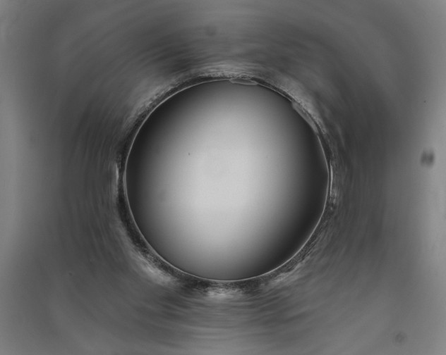 X0000091070109200708201419