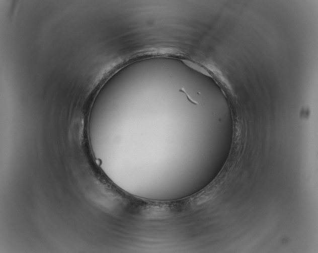 X0000091070110200708201419