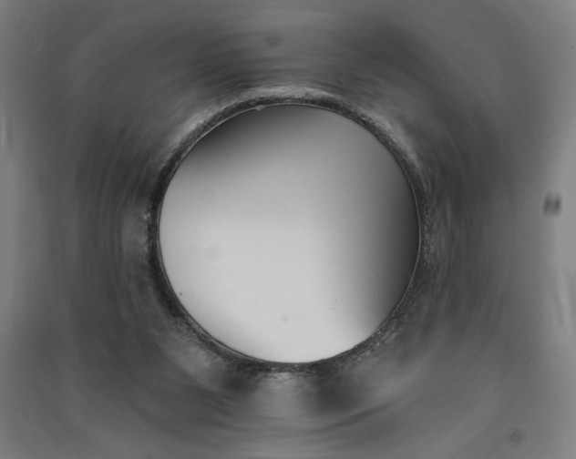 X0000091070111200708201419