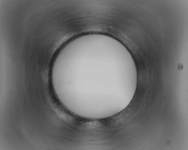 X0000091070112200708201419