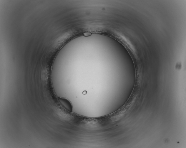 X0000091070113200708201419