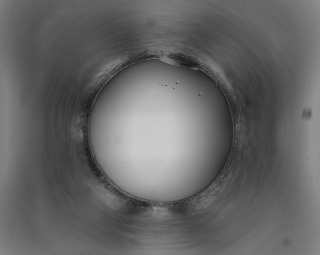 X0000091070114200708201419