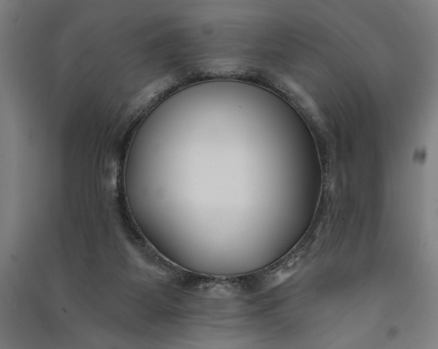 X0000091070115200708201419