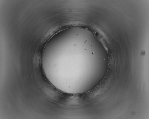 X0000091070119200708201419