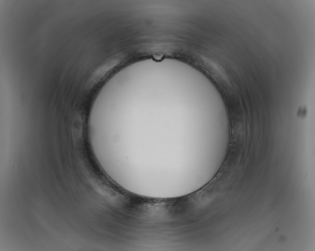 X0000091070120200708201418