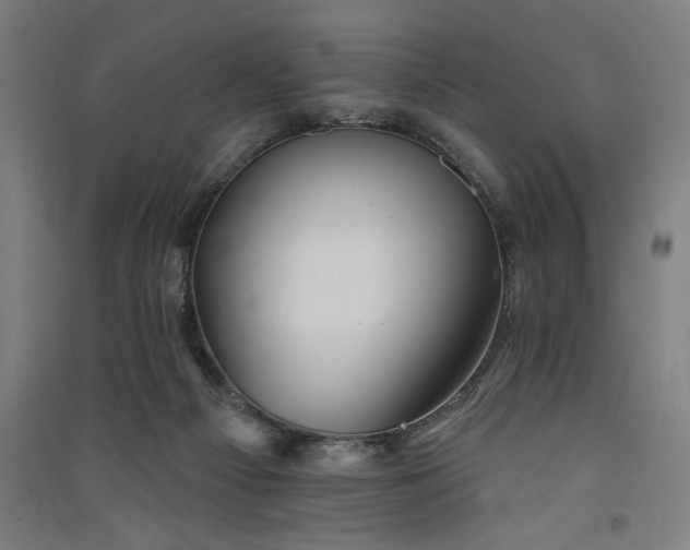 X0000091070121200708201418