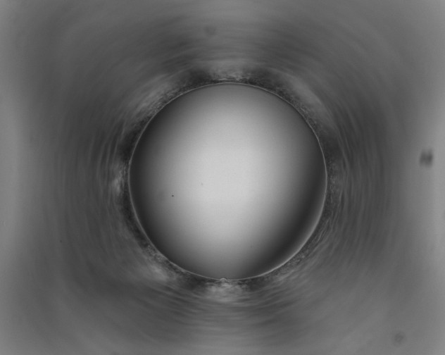 X0000091070125200708201418