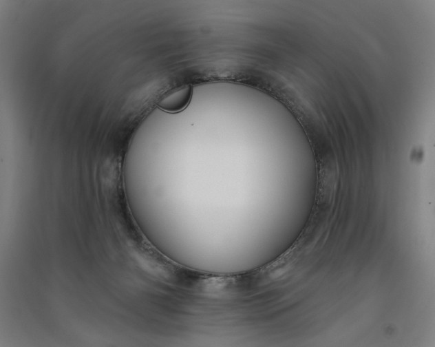 X0000091070126200708201418