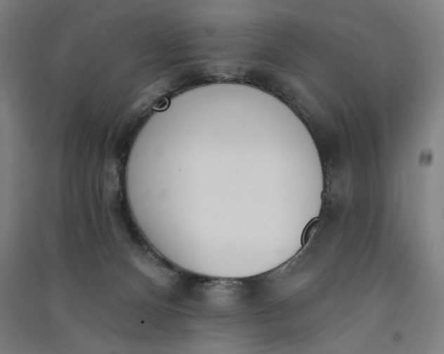 X0000091070128200708201418