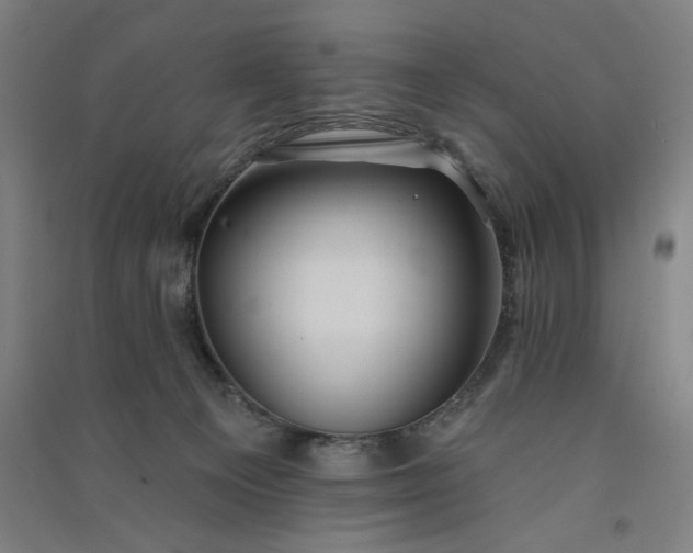 X0000091070129200708201418