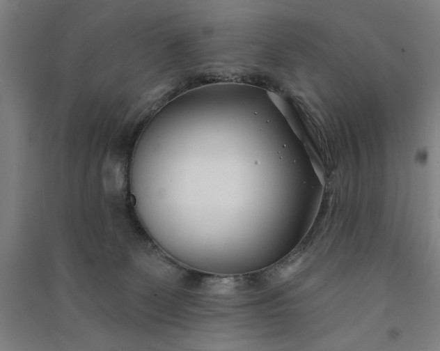 X0000091070131200708201418