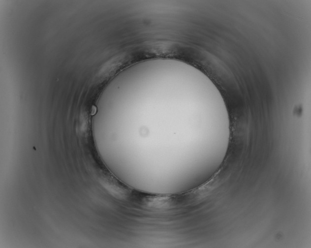 X0000091070132200708201418