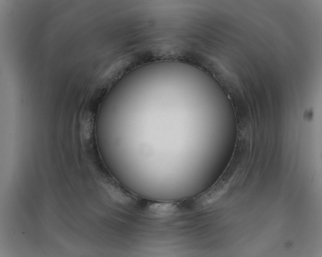 X0000091070133200708201418