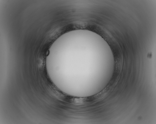 X0000091070134200708201418