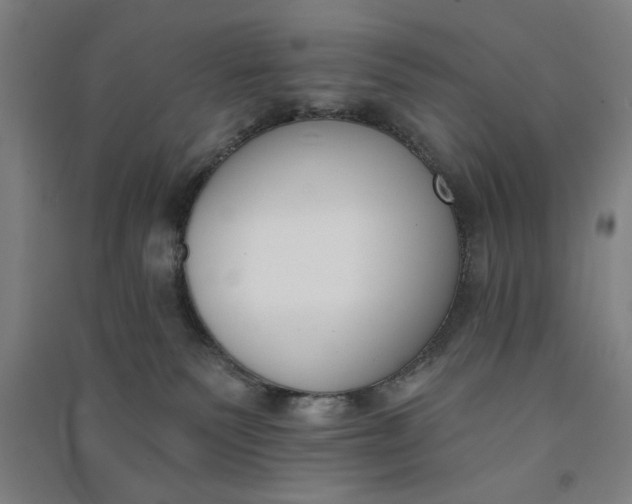 X0000091070135200708201418