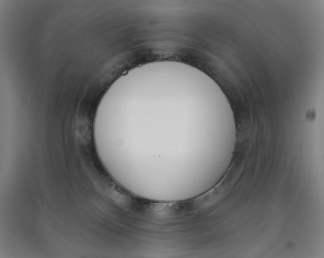 X0000091070136200708201418