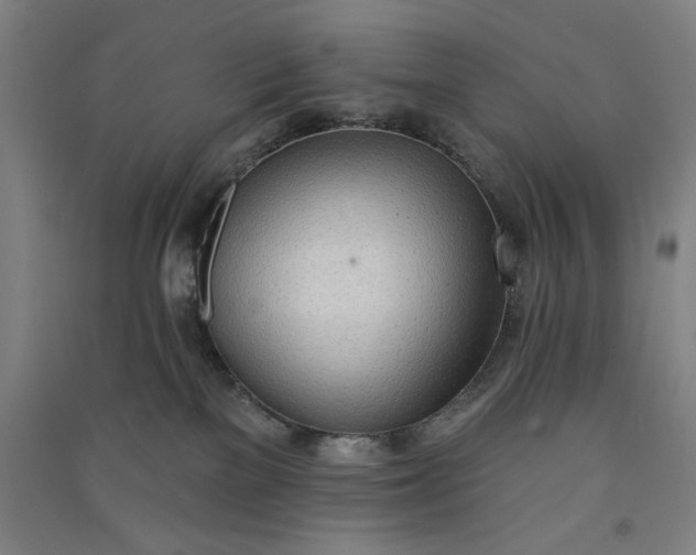 X0000091070137200708201418