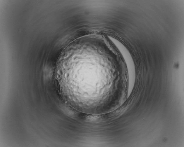 X0000091070139200708201418