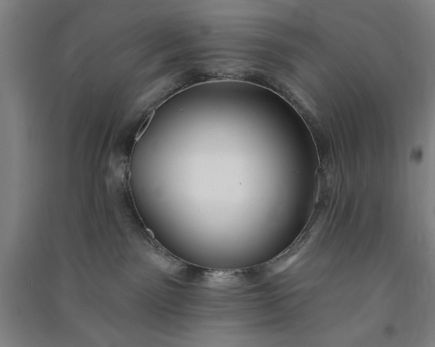 X0000091070141200708201418