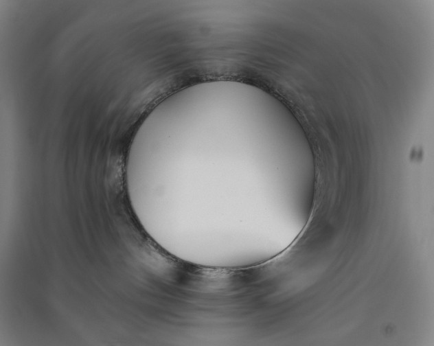 X0000091070144200708201418