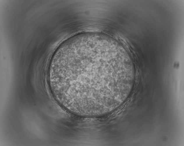 X0000091070145200708201417