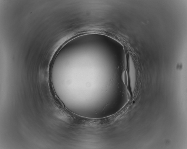 X0000091070148200708201418