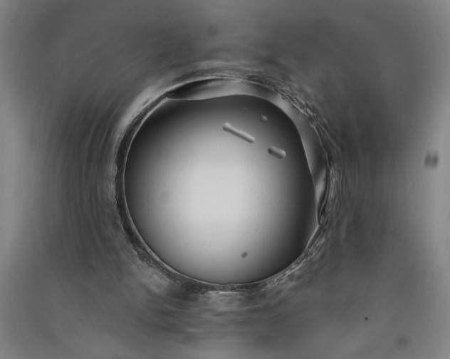 X0000091070150200708201418