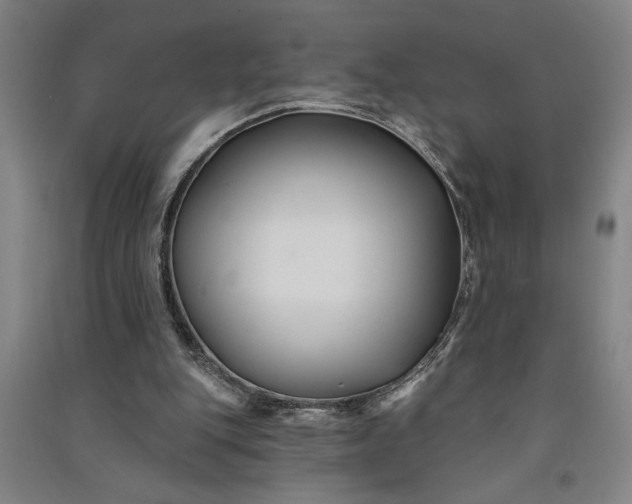 X0000091070151200708201418