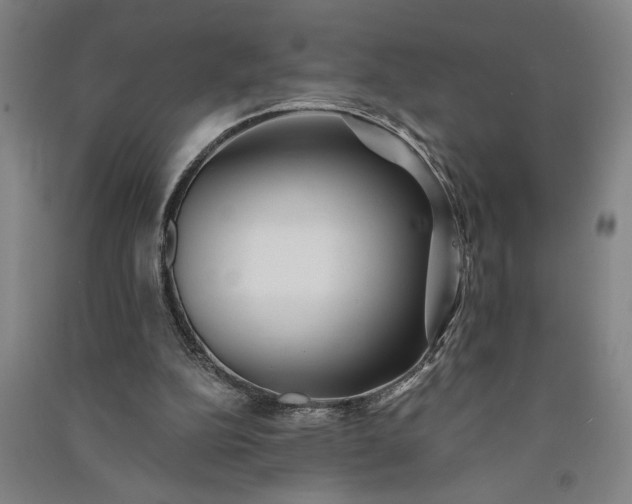 X0000091070152200708201418