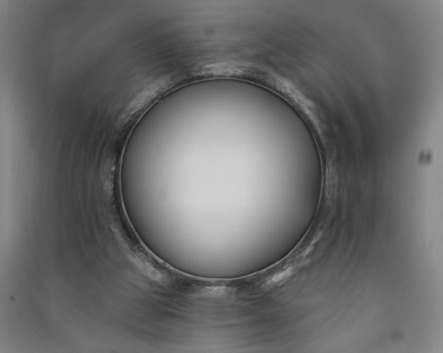 X0000091070153200708201418