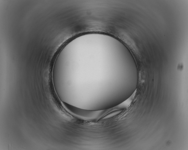 X0000091070156200708201418