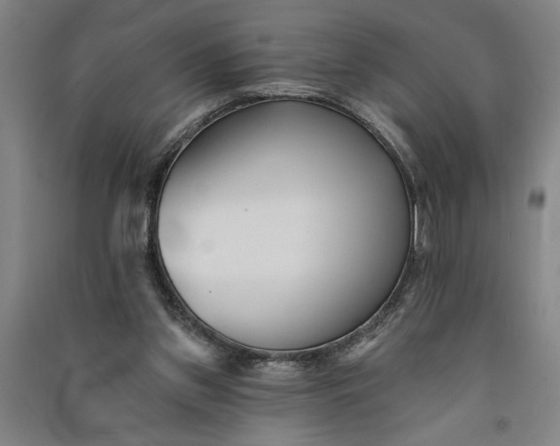 X0000091070157200708201418