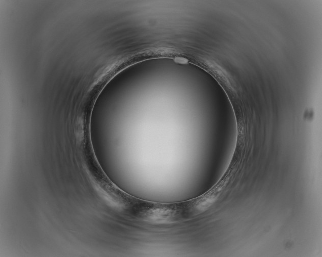 X0000091070158200708201418