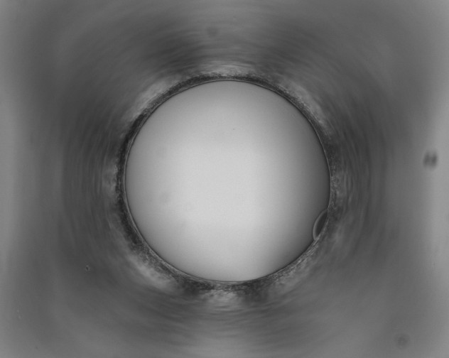 X0000091070159200708201418