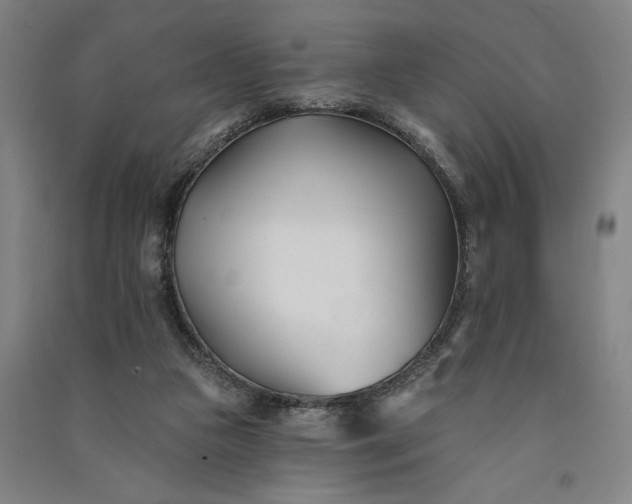 X0000091070161200708201418