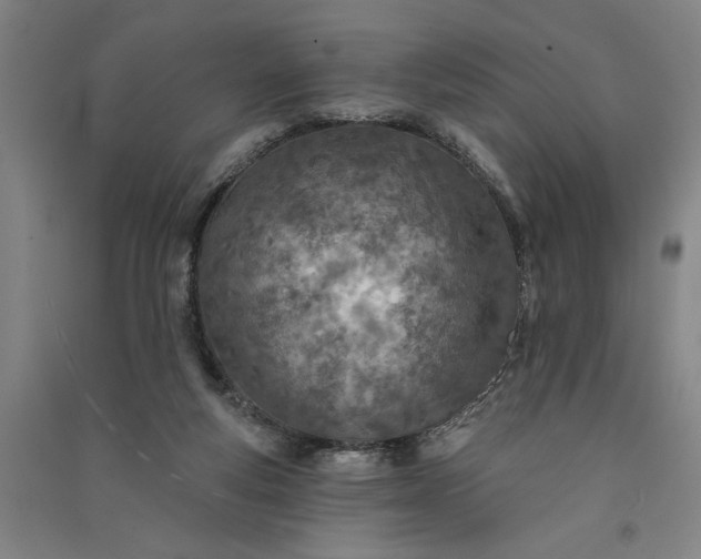 X0000091070163200708201418