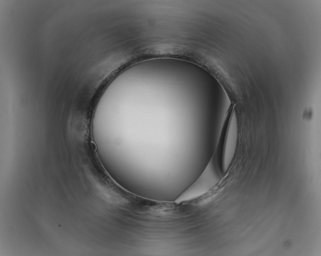 X0000091070164200708201418