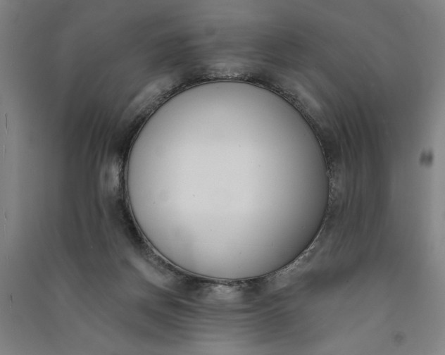 X0000091070166200708201418