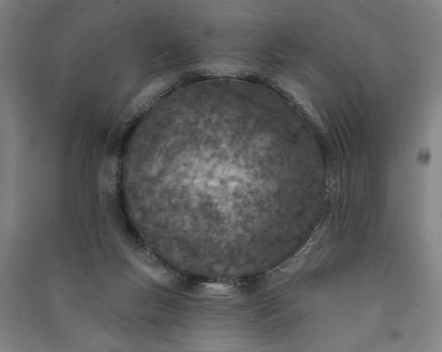 X0000091070167200708201418