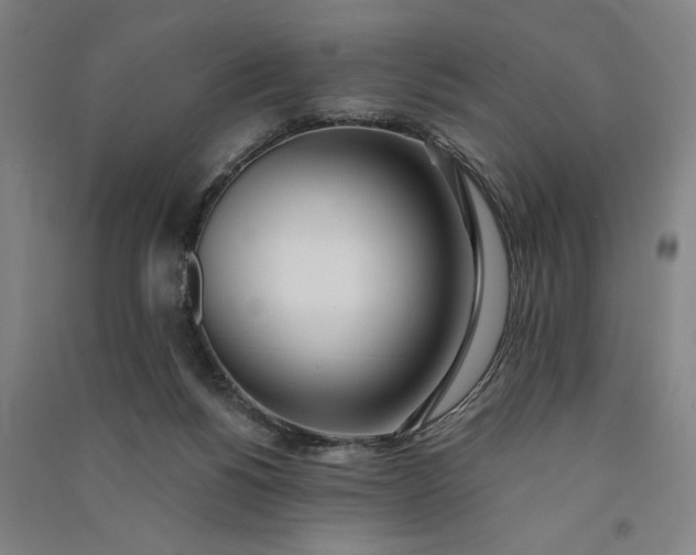 X0000091070168200708201418