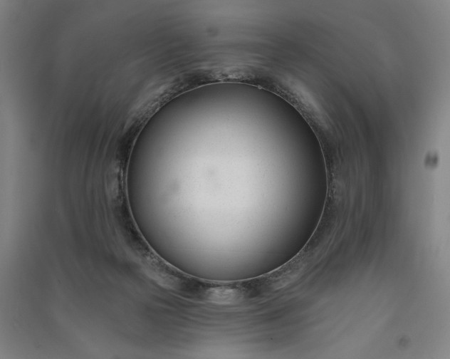 X0000091070169200708201418