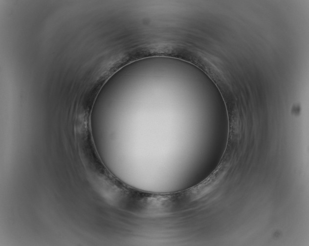 X0000091070172200708201418