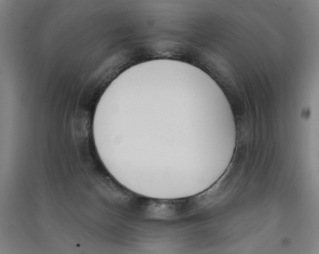 X0000091070174200708201418