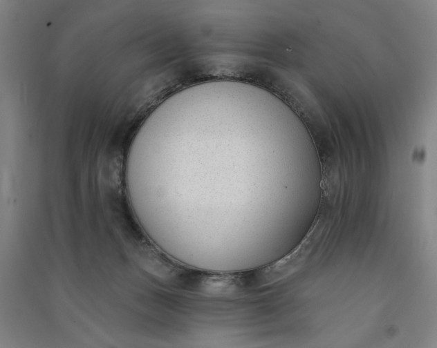 X0000091070175200708201418