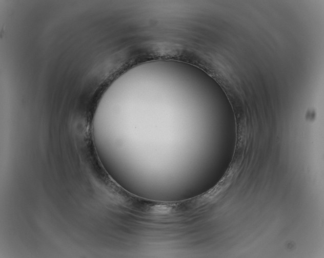 X0000091070176200708201418