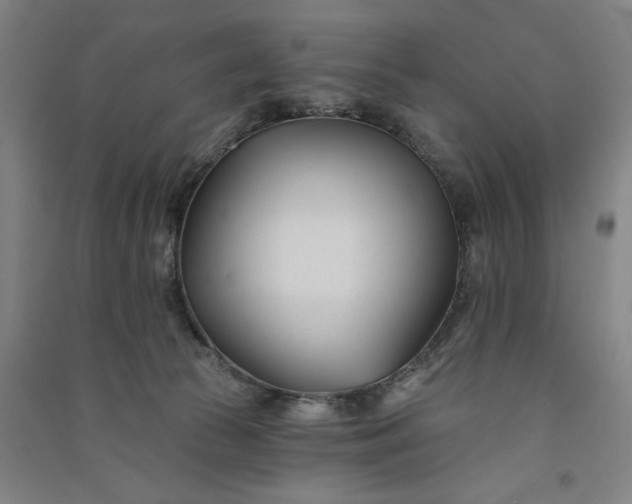 X0000091070177200708201418