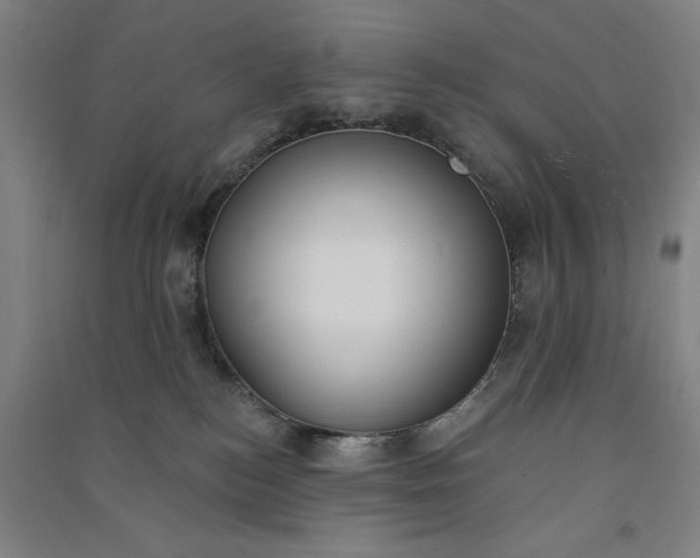 X0000091070184200708201418