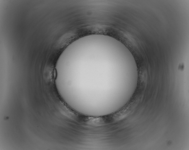 X0000091070185200708201418